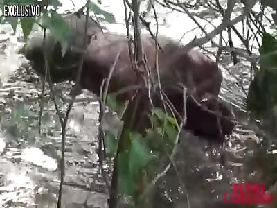 Headless Armless Nude Woman Floating In The River TheYNC