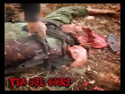 stupid soldier with the brains of outside - La Tía Del Gore 