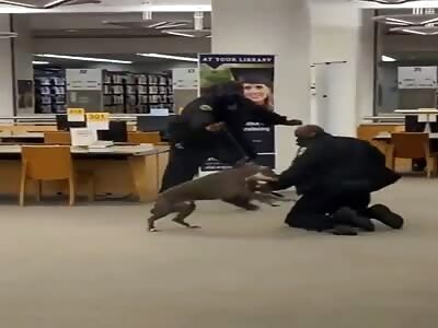 SECURITY GUARD ATTACKED BY DOG