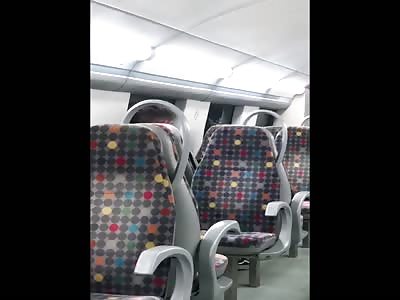 Sex on the Train in Portugal (2020)! / Sexo no Comboio em Portugal!