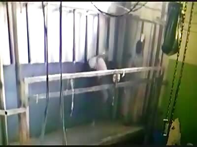 Head Crushed In Lift