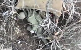 Direct Hits on UA Soldiers via Drone Drop Munition