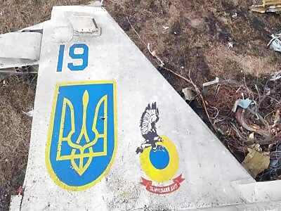 Ukrainian Jet Fighter Destroyed