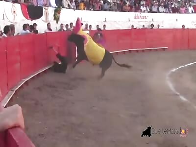 Bullfighter caught with gore