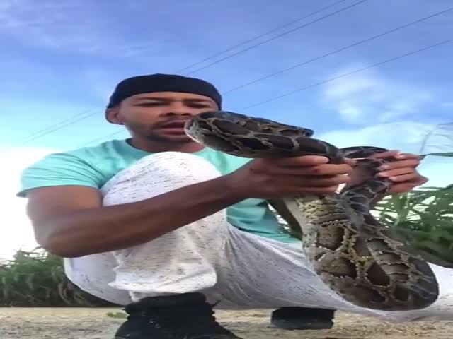 Animas Ancoda And Boys Sexy Mp4 - Karma: Don't Use Snakes as Entertainment... | theYNC