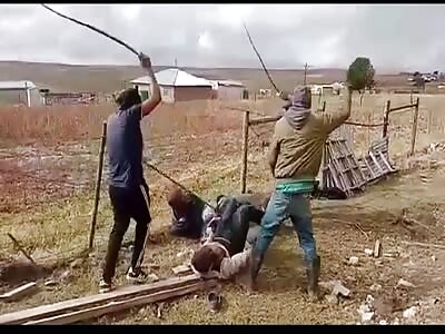 farm thieves flogged