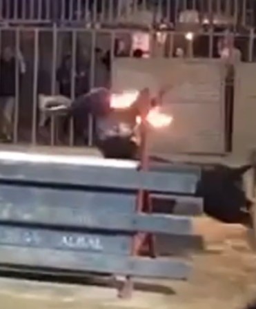 Angry bull takes revenge on a spanish bitch