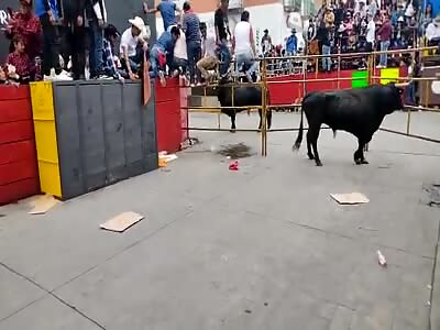 ( Skip to 0:39) Distracted takes a boat from a bull in mexico