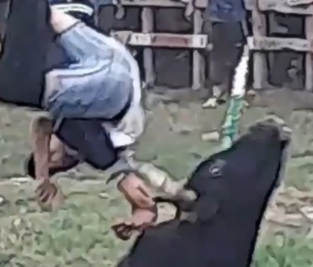 Bull ripping off an arm and knocking out a damn with a skewer