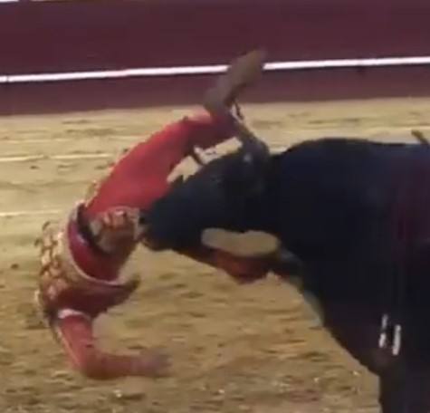 Spanish Bullfighters Brutally Attacked at Festival
