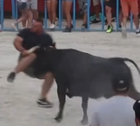 Big man got his leg fucked by bull