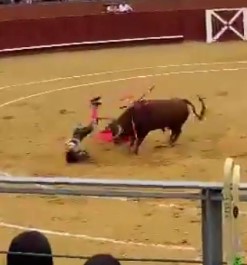 Victims of bulls in Spain in races