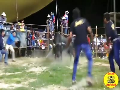 Bullfighter turned into a thrashed doll