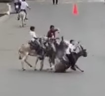 Donkey race happens accident