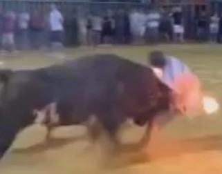 That famous title, Spanish bull fucking his victims