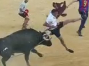 Agony bull ,Man cruelly thrown by evil bull