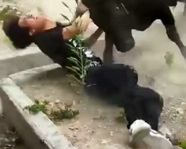 BULL OF HELL,Hit victim in the neck