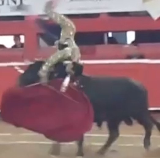 bullfighter almost died to be fucked by bullfighter