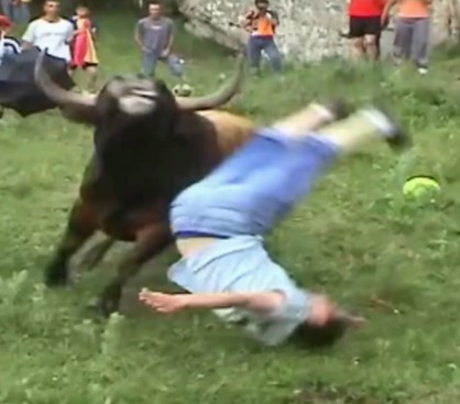 Amateur festival of bulls attacking victims