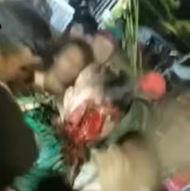 SATANIC BULL, man's face destroyed by Nicaragua's most cruel bull