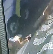 Man Throws Himself Under Moving Bus