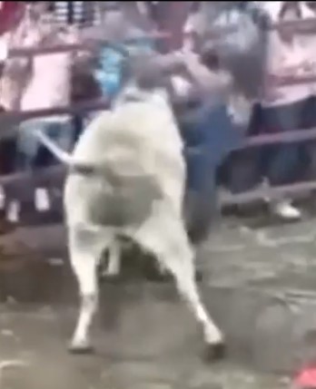 the beast of nicaragua ,first bullfighter was blind in one eye