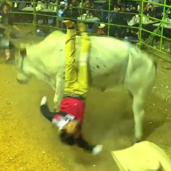 Royally Fucked Up at a Mexican Rodeo