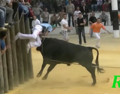 Spanish bulls fucking their victims at the latest festivals