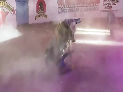 Trampled bullfighter dies (another angle)