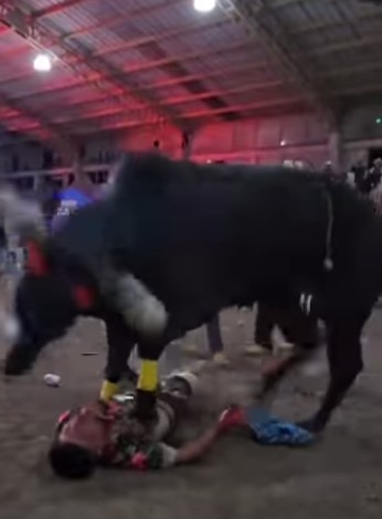 Mexican bull fucks bullfighter faint and playing