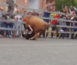 Raging bull breaking a Spaniard's leg