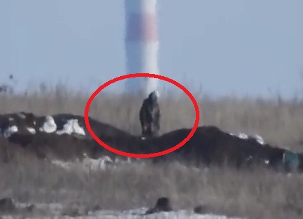 Ukrainian Sniper Eliminates Member of Russian-Led Forces 