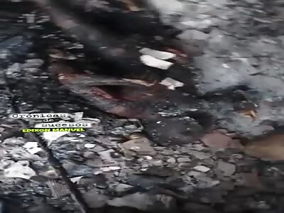 Venezuelans burn a Colombian family of father, mother and 2 children.