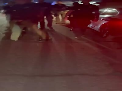 Detroit Police shut down Block Party