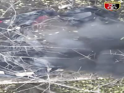 Ukrainian drone sends Russian soldier to sleep
