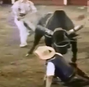 Bull Rider tries Jumping from the Bull but is Head Stomped (Bloody Aftermath) 