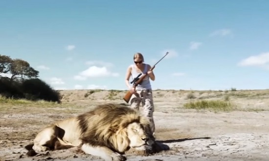 Karma: Hunters Get Chased By A Lion After Killing His Friend