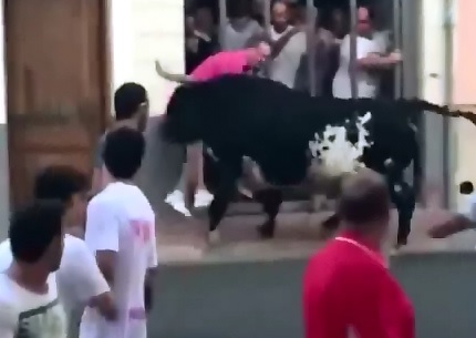 50 Year Old Man wants to Play Around with the Bull