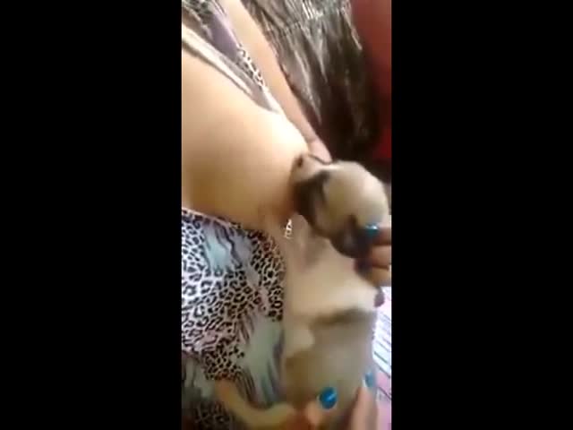 Mature flat boobs nude Free adult porn girls take anal