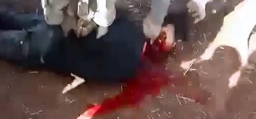 This is How its Done...Super Fast Gushing Blood Beheading with a Sharp Knife from ISIS Beheading Syrian Soldiers 