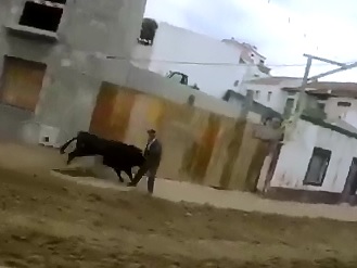 82 Year Old Man Killed by Out of Control Bull 