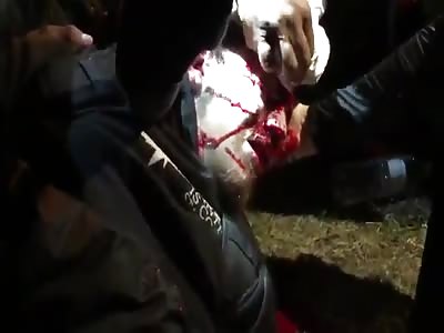 INSANE: STUPID ANTIFA PROTESTER SHOT IN THE HEAD