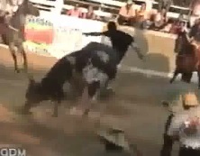 Man Escapes Bull Only to Be Killed Moments Later