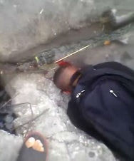 Thief Has Head Trampled by Security Guard he Shot in the Leg
