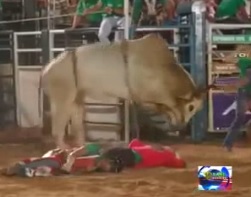 Man Dies Trying to Save Bull Rider.. Trampled in Head