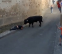 Bull Attack