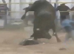Female Bull Rider is Knocked out and Brutally Gored by Raging Bull