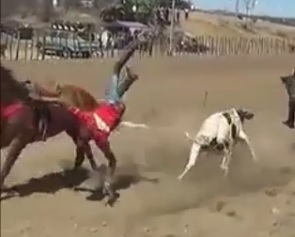 Man falls From Horse Breaks his Neck and Dies