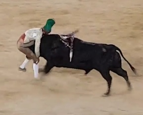 Bullfighter Killed by Giant Bull in Portugal 
