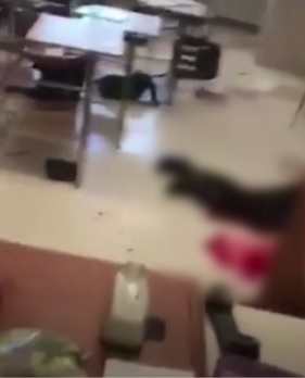 Some Inside the School Footage of Florida Mass Shooting